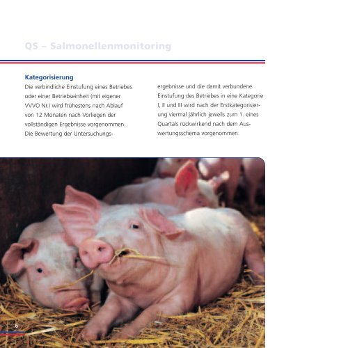 Produktinformation - Schweinevermarktungsgesellschaft Schleswig ...