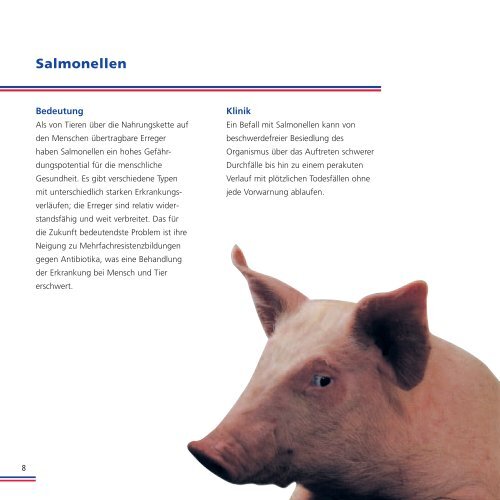 Produktinformation - Schweinevermarktungsgesellschaft Schleswig ...