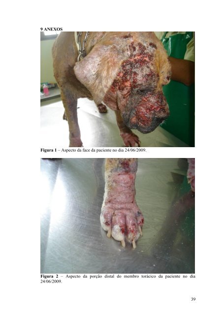 Mastocitoma Canino e Leishmaniose Visceral em Cao - Qualittas