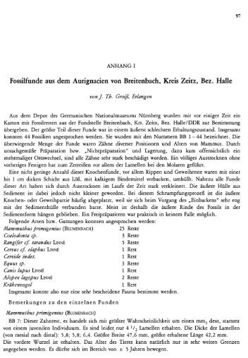 Fossilfunde aus dem Aurignacien von Breitenbach ... - quartaer.eu