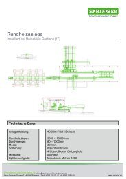 Rundholzanlage-Rainoldi - Springer Maschinenfabrik AG
