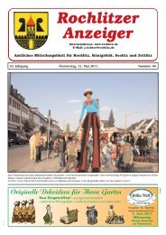 Ausgabe: 04/2011 vom 12.05. 2011 - Rochlitz