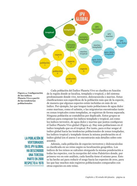 Informe Planeta Vivo 2012