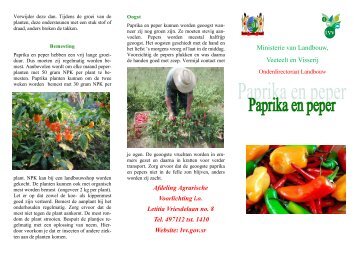 Paprika en peper planten - Gov.sr