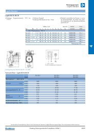 Buderus [PDF]