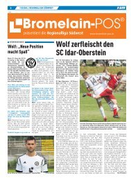 Saaramateur Ausgabe 21 - Sportvereinigung 07 Elversberg