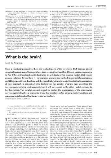 What is the brain?