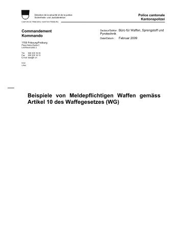 Beispiele von Meldepflichtigen Waffen gemäss Artikel 10 des