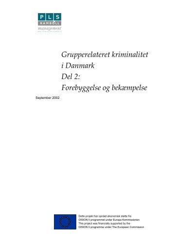 Grupperelateret kriminalitet i Danmark del 2 Forebyggelse ... - Politiets