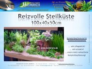 sehr pflegeleicht! - Aquaristik-Studio Heimrich