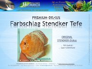 ORIGINAL STENDKER-Diskus - Aquaristik-Studio Heimrich