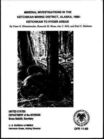 MINERAL INVESTIGATIONS IN THE KETCHIKAN MINING ...