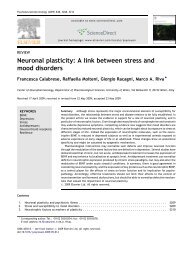 Neuronal plasticity: A link between stress and mood disorders