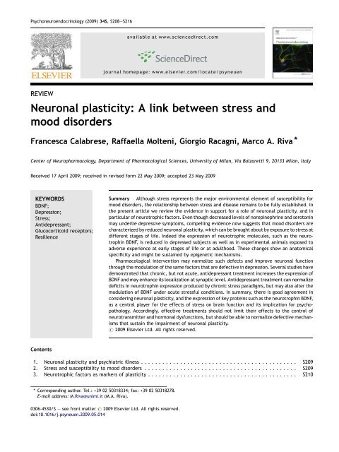 Neuronal plasticity: A link between stress and mood disorders