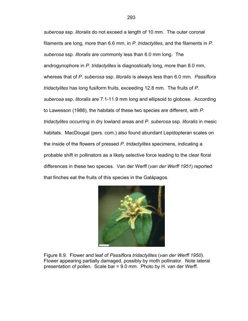 Revision of Passiflora Subgenus Decaloba ... - Passion Flowers