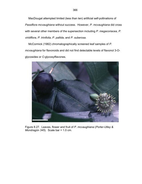 Revision of Passiflora Subgenus Decaloba ... - Passion Flowers