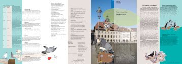 Stadttauben Naturschauplätze Stadt Luzern - öko-forum ...