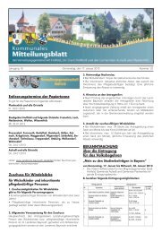 Mitteilungsblatt Nr. 01/02 (17.01.2013) pdf - Hollfeld