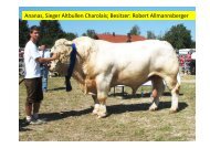 Ananas, Sieger Altbullen Charolais; Besitzer: Robert ... - Bayern