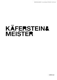 CURRICULA - Käferstein & Meister