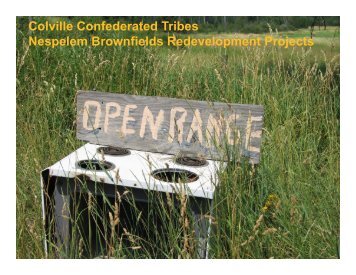 Colville Confederated Tribes Nespelem Brownfields ...