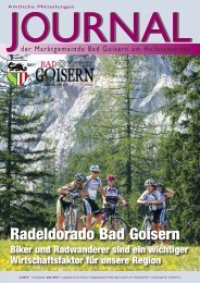 Journal 2/2010 - Bad Goisern - Land OberÃ¶sterreich
