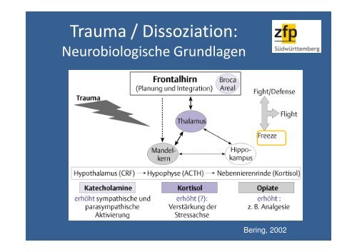 Drogen - Psychose - Bildungswerk Irsee