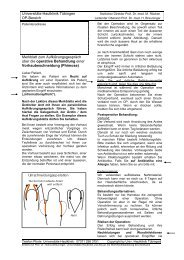 Curriculum Vitae Prof. Dr. med. Martin Röcken, Tübingen