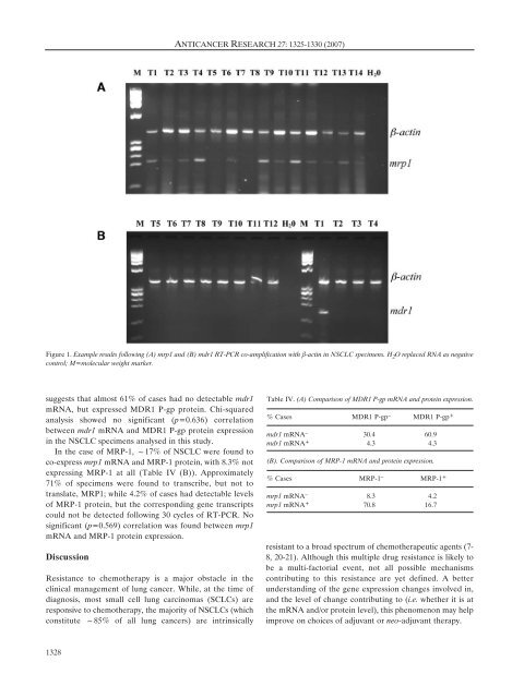 MDR1/P-glycoprotein and MRP-1 mRNA and Protein Expression in ...