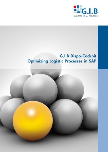 G.I.B Dispo-Cockpit Optimizing Logistic Processes in SAP