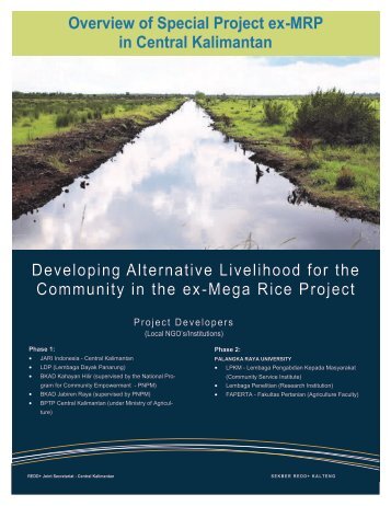 Overview of Special Project ex-MRP in Central ... - Satgas REDD+