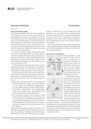 Praxisbeilage 3 Verzweigte Geschichten - Zentrum Lesen