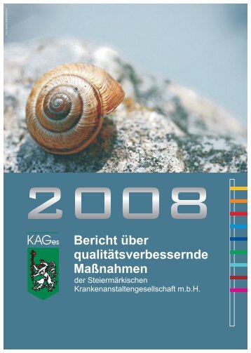 Bericht über qualitätsverbessernde Maßnahmen der KAGes 2008