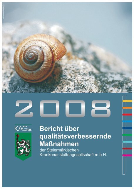 Bericht über qualitätsverbessernde Maßnahmen der KAGes 2008