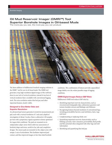 Oil Mud Reservoir Imager (OMRI) Tool - Halliburton