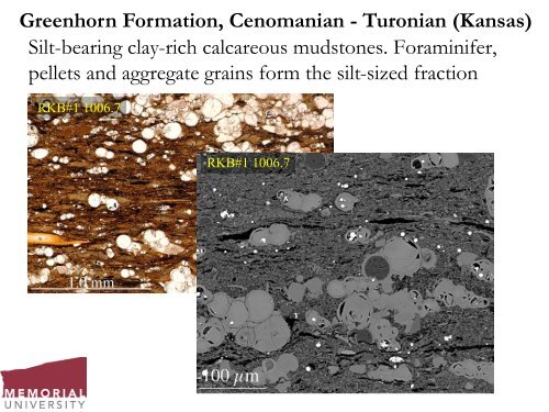 Sedimentology of mud - Canadian Society of Petroleum Geologists