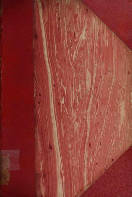 perdere definitivamente le cellule adiposetri