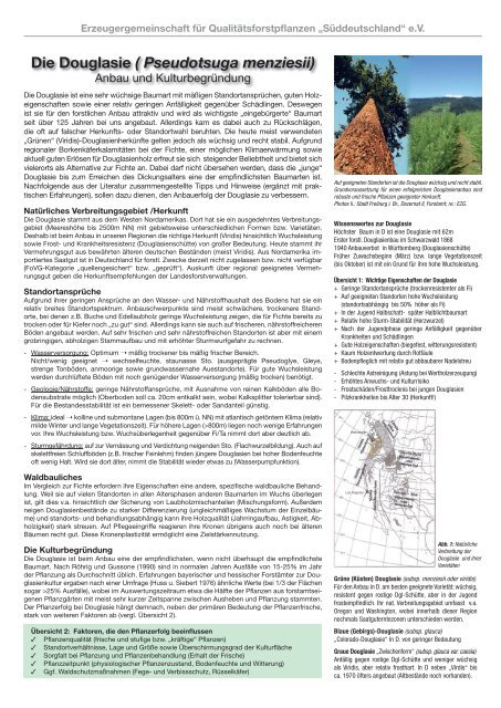 Die Douglasie (Pseudotsuga menziesii) Anbau und ... - EZG