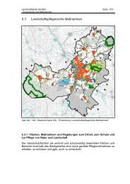 6.3 Landschaftspflegerische Maßnahmen - Hünfeld