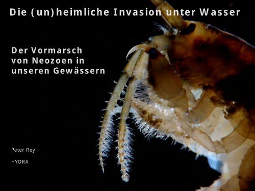 Der Vormarsch Von Neozoen In Unseren ... - HYDRA-Institute