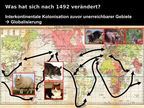 Der Vormarsch Von Neozoen In Unseren ... - HYDRA-Institute