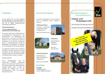 Lehrgang zum/r Pferdepfleger/in (FN) - ibu-europe -Home