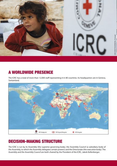 IN a NUTShell - International Committee of the  Red Cross