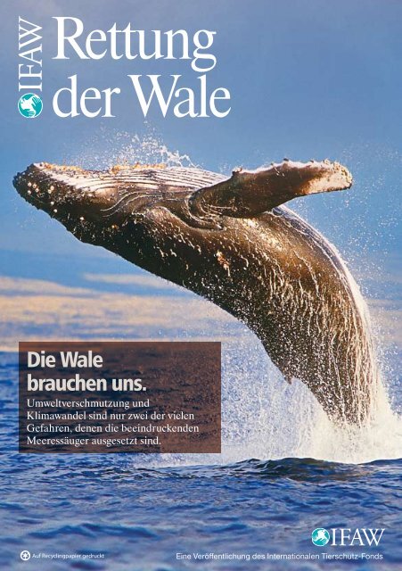 Rettung der Wale