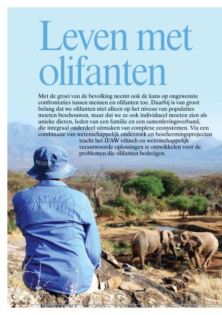 Bescherming van olifanten - International  Fund for Animal Welfare