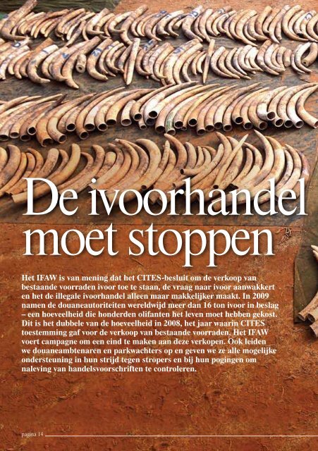 Bescherming van olifanten - International  Fund for Animal Welfare