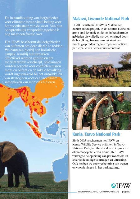Bescherming van olifanten - International  Fund for Animal Welfare