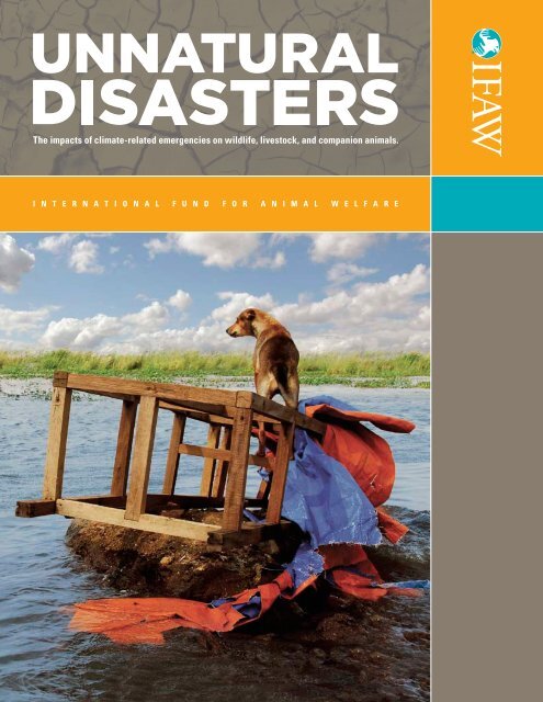 Unnatural Disasters: The Impacts of Climate-related Emergencies