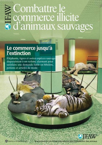 Combattre le commerce illicite d'animaux sauvages