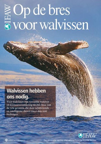 Op de bres voor walvissen - International Fund for Animal Welfare